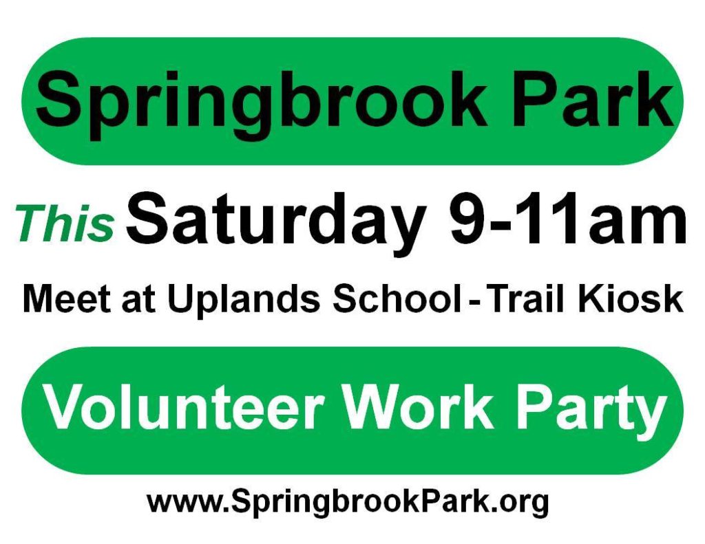 Volunteer with the Friends of Springbrook Park