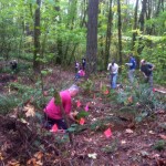 October 17, 2015 Work Party - planting native plants and trees