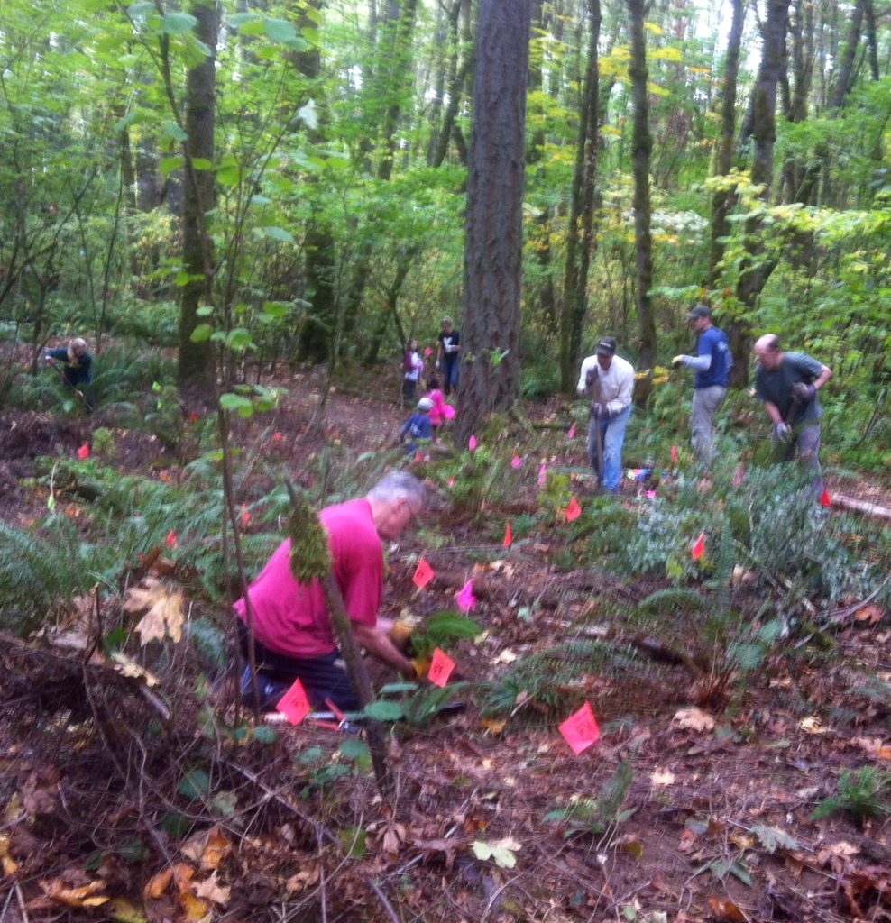 October 17, 2015 Work Party - planting native plants and trees