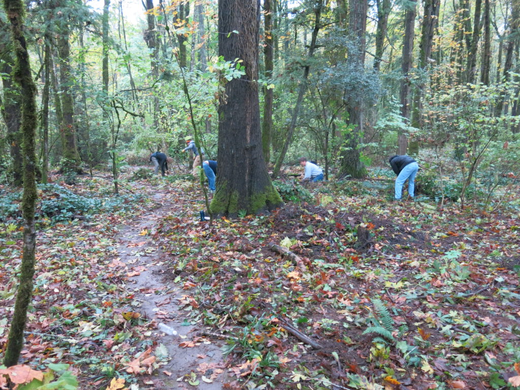 October 22, 2016: Restoration Plantings