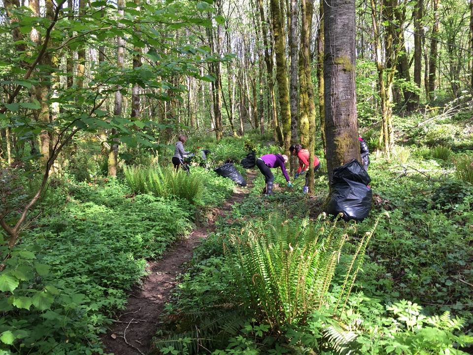 May 6 Invasive removal