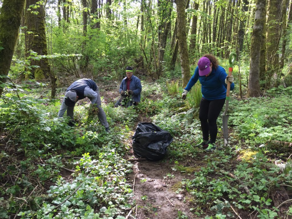May 6 Invasive removal