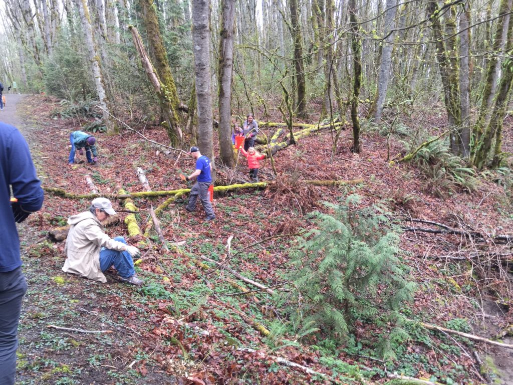 March 23,2019 - mulching the hillside