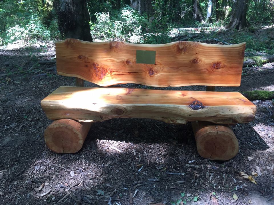 Jan Burt's Bench